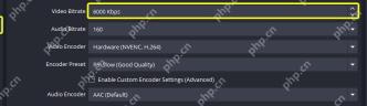 OBS Studio Output 简单模式显示 Video Encoder 为 Hardware NVENC H264