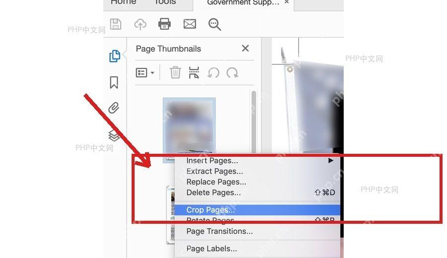 Acrobat 页面缩略图右键菜单中选择 Crop Pages 进入裁剪页面设置