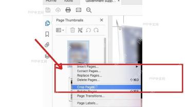 Acrobat 页面缩略图右键菜单中选择 Crop Pages 进入裁剪页面设置