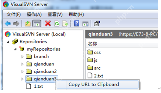SVN版本控制系统入门指南 - php中文网