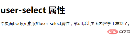 ページコンテンツが CSS にコピーされないようにする方法