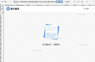 如何翻译文档图片中的文字内容?设置效果