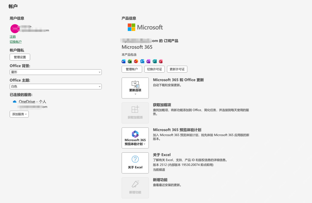 Excel 帐户页面显示 Microsoft 365 产品信息、登录邮箱和更新选项,用于确认账号激活成功