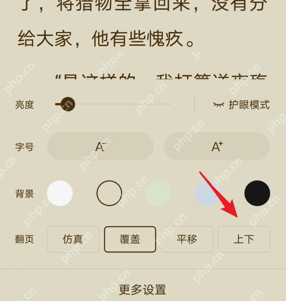 番茄免费小说阅读更多设置页,用于查找翻页方式
