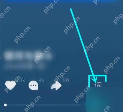 汽水音乐播放页词按钮