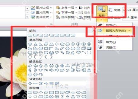 PPT在大小区域输入形状高度和宽度