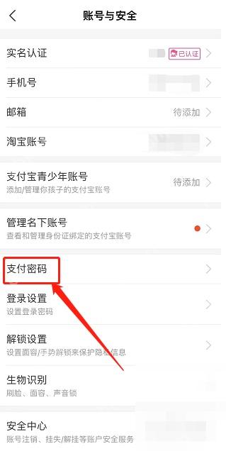 支付宝中文界面：支付密码，对应步骤：在账号与安全页里点“支付密码”。这里才是修改支付密码的正式入口。