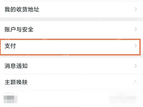 在设置页里点“支付”。