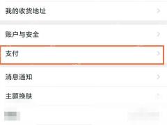 在设置页里点“支付”。
