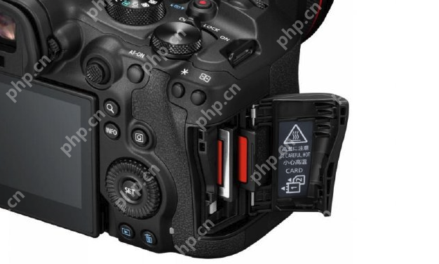 佳能发布全画幅专微相机EOS R6 Mark III:影像核心全面升级 - php中文网