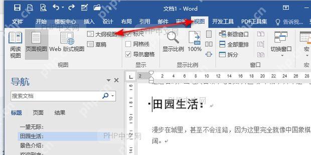 在 Word 文档中打开视图选项卡