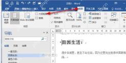 在 Word 文档中打开视图选项卡