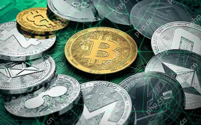 新手教程！usdt是什么