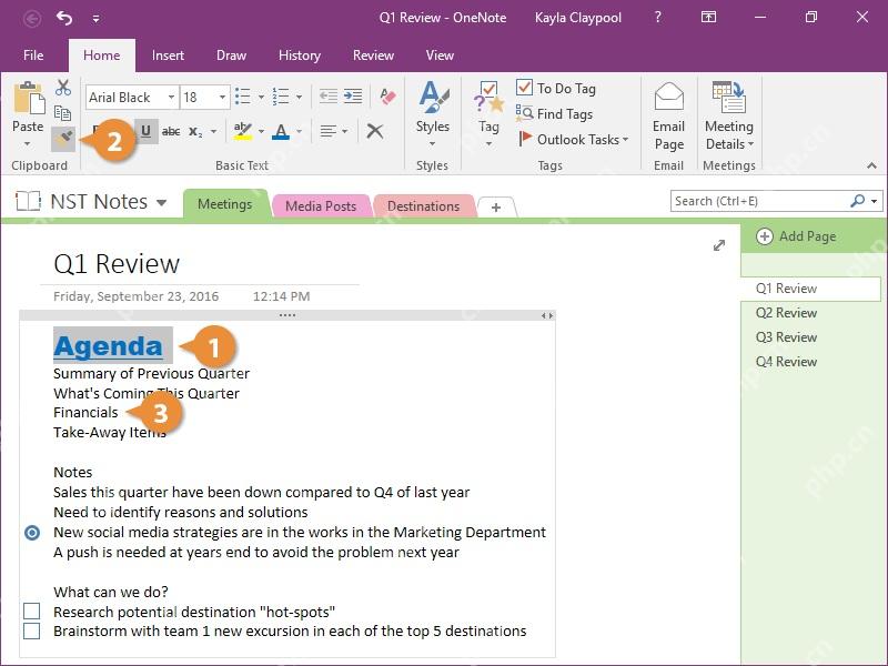 OneNote 页面中文字已经应用字号和颜色,用来检查修改结果