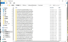 资源管理器打开 C:\Windows\SoftwareDistribution\Download 更新缓存目录