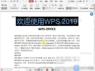 PDF如何调整PDF视图为实际大小？设置效果