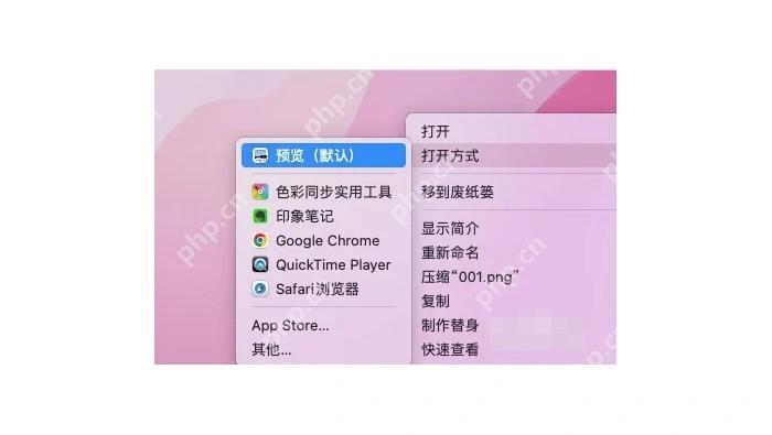 Mac 右键菜单选择预览打开图片
