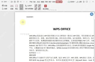 PDF如何测量PDF文档中形状的面积?设置效果