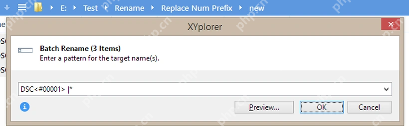 XYplorer Batch Rename 窗口输入命名规则。