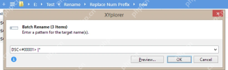 XYplorer Batch Rename 窗口输入命名规则。