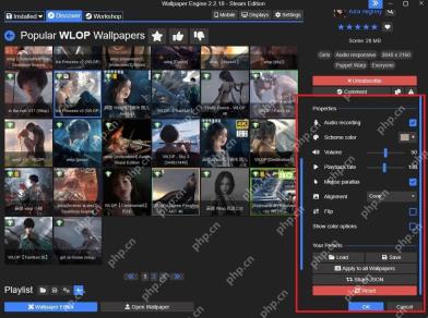 Wallpaper Engine 右侧属性面板显示音量和播放速度设置用于复查
