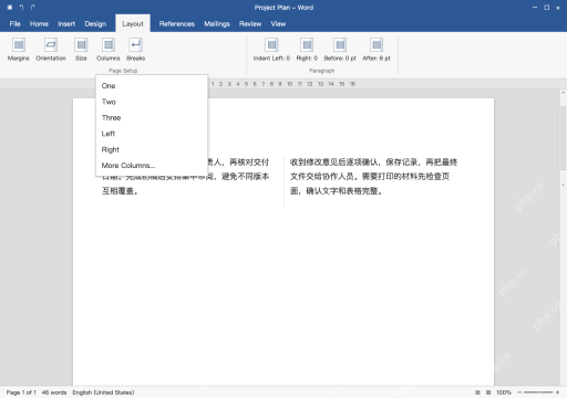 模拟 Word 完整窗口：在栏菜单选择两栏或三栏