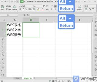WPS表格在同一个单元格内使用Alt加Enter换行