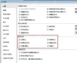 WPS文字选项中勾选空格制表符段落标记等格式标记