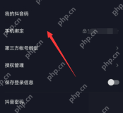 汽水音乐怎么修改绑定手机号：打开手机绑定