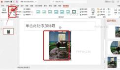 PowerPoint插入图片后图片对象显示控制点