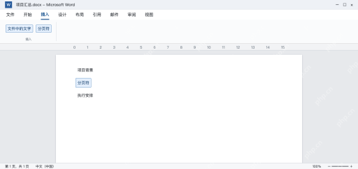 模拟 Word汇总稿中先项目背景再分页接入执行安排