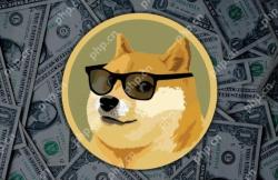 狗狗币值得投资吗？DOGE未来前景分析 - php中文网