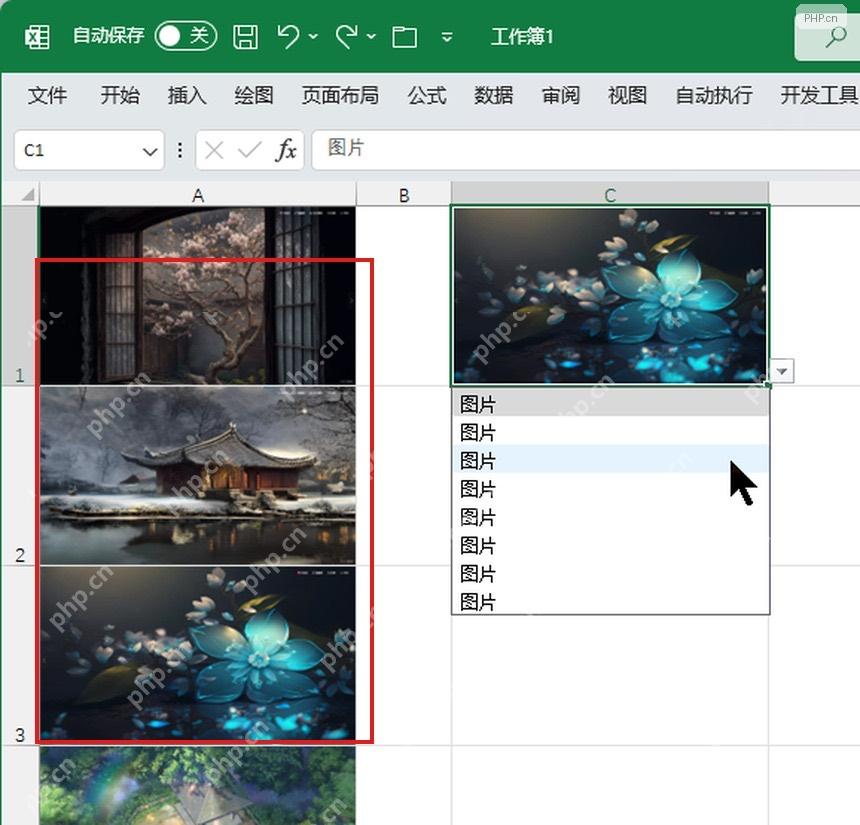 Excel 工作表中多张图片位于单元格内,图片单元格和选择结果被标出