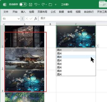 Excel 工作表中多张图片位于单元格内,图片单元格和选择结果被标出