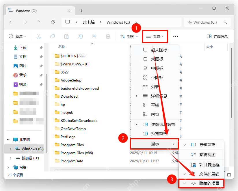 Windows 11 文件资源管理器查看菜单中勾选隐藏的项目