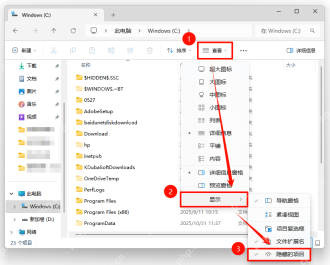 Windows怎么查看隐藏文件夹