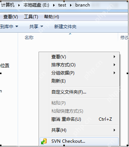 SVN版本控制系统入门指南 - php中文网