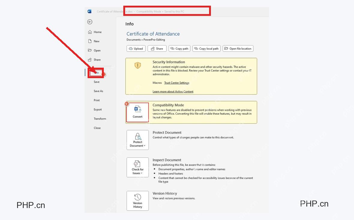 Word 文件页面中标题栏显示 Compatibility Mode,并标出左侧信息入口