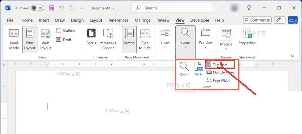 Word 视图选项卡缩放区域中的 One Page 单页按钮