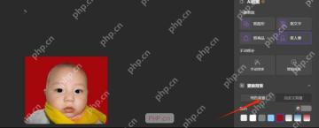 WPS 更换背景面板中底色选项区域