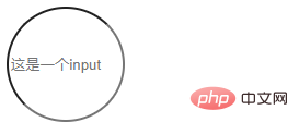 How to set the input box to be circular in css