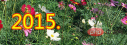 dd2f7de7f2b06e3cc3d1cd92d45ce60.png