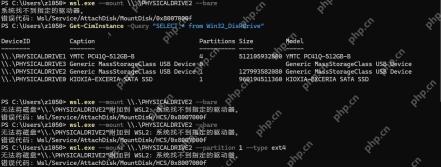 Windows PowerShell 中尝试以 bare 模式挂载 WSL 磁盘并查看错误反馈