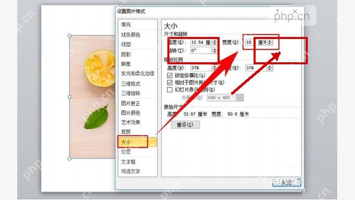 PowerPoint 设置图片格式面板中的高度和宽度输入框,用于精确调整图片尺寸
