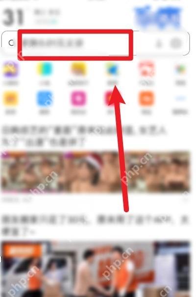 UC浏览器怎么开启网页翻译功能:UC 浏览器首页地址栏被标出