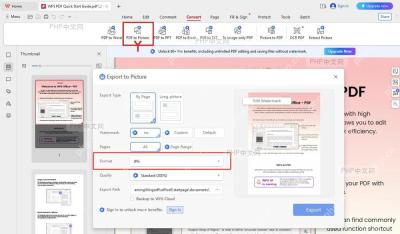 WPS PDF 转换功能区中 PDF to Picture 按钮被标出，用于进入导出图片窗口