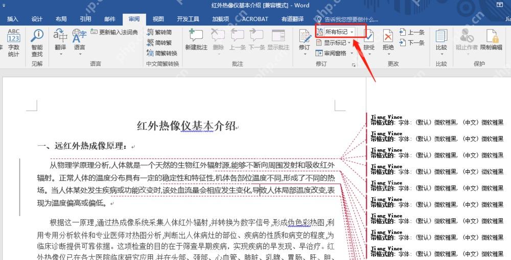 Word审阅选项卡所有标记状态下显示修订红线和右侧修订记录