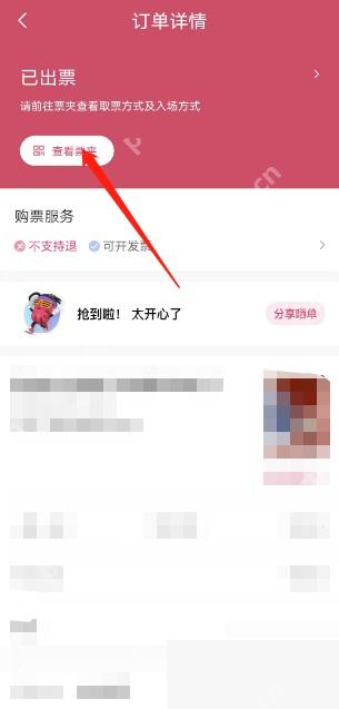 大麦app怎么查看电子票二维码步骤图3