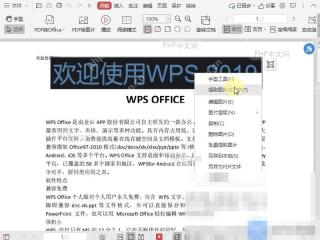 PDF如何提取PDF文件中图片内文字？入口位置