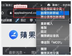 Chrome 标签页右键菜单中的新增到新群组选项